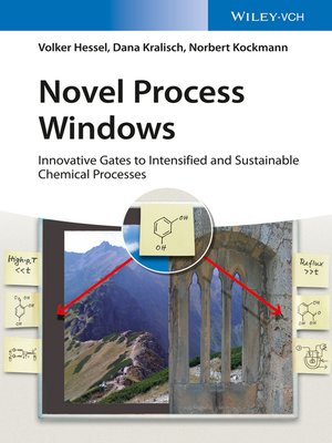 cover image of Novel Process Windows